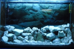 Allestimento_Acquario_Tanganica